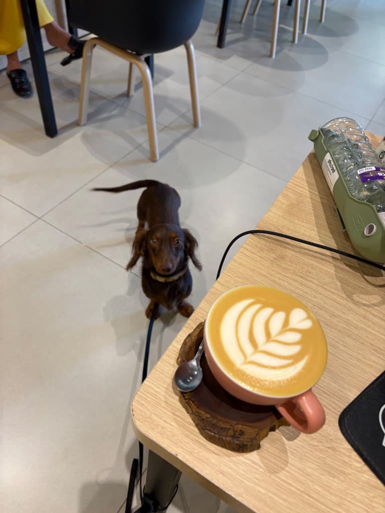 Studio Grão Coffee Roasters — foto