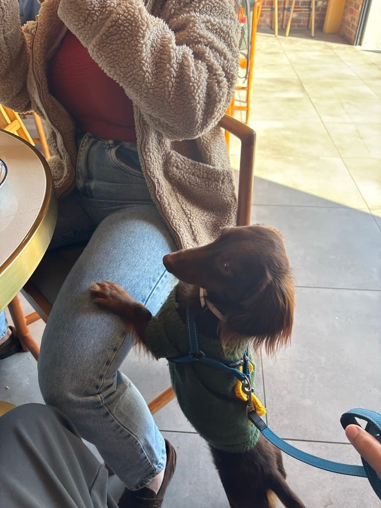 Paris Croisserie Bakery And Cafe — foto
